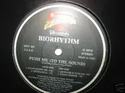 12inch Vinyl Single - Biorhythm - Push Me (To The Sound)