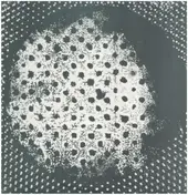 Biosphere - Patashnik