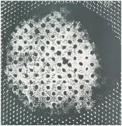 LP - Biosphere - Patashnik