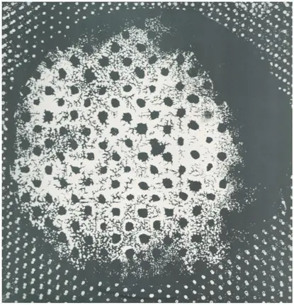 Biosphere - Patashnik