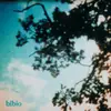 LP - Bibio - Fi