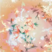 Bibio - Silver Wilkinson