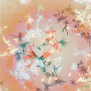 CD - Bibio - Silver Wilkinson