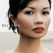 CD - Bic Runga - Beautiful Collision