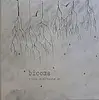 12inch Vinyl Single - Bicoma - Nieve Biologica EP - Promotional copy