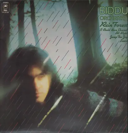Biddu Orchestra - Rain Forest