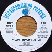 Biff Rose - What's Gnawing At Me / Molly