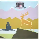 12'' - Big Country - Wonderland