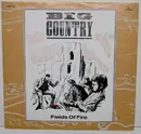 12'' - Big Country - Fields Of Fire