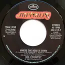 7inch Vinyl Single - Big Country - Where The Rose Is Sown - No Original Cover