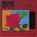 7inch Vinyl Single - Big Country - Where The Rose Is Sown - Paper Labels