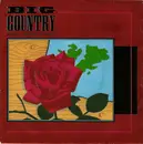 7inch Vinyl Single - Big Country - Where The Rose Is Sown