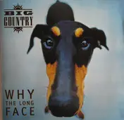 Big Country - Why the Long Face