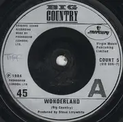 7inch Vinyl Single - Big Country - Wonderland - Silver Injection Labels
