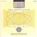 12inch Vinyl Single - Big Country - One Great Thing
