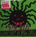 LP - Big Boys - Lullabies Help The Brain Grow - Pink Vinyl, Limited Edition