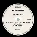 12inch Vinyl Single - Big Bam Boo - If You Could See Me Now