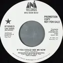 7inch Vinyl Single - Big Bam Boo - If You Could See Me Now