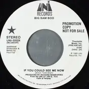 Big Bam Boo - If You Could See Me Now