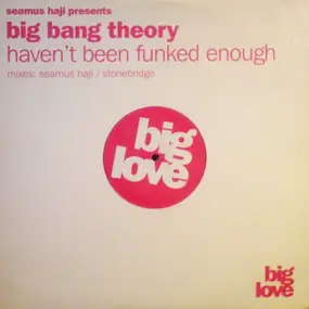 Big Bang Theory - Haven't Been Funked Enough