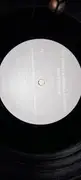 12inch Vinyl Single - Big Bass Vs Michelle Narine - What You Do
