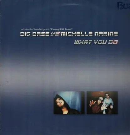 Big Bass Vs Michelle Narine - What You Do