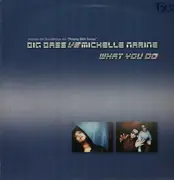 12inch Vinyl Single - Big Bass Vs Michelle Narine - What You Do