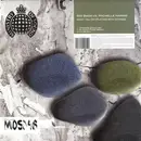 12'' - Big Bass vs. Michelle Narine - What You Do (Playing With Stones)