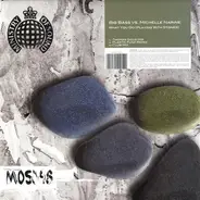 Big Bass vs. Michelle Narine - What You Do (Playing With Stones)