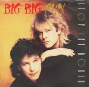 7inch Vinyl Single - Big Big Sun - Stop The World