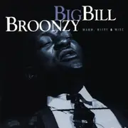 CD - Big Bill Broonzy = Big Bill Broonzy - Warm, Witty, And Wise