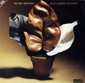 Big Bill Broonzy - Black, Brown and White