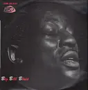 LP - Big Bill Broonzy - Big Bill Blues