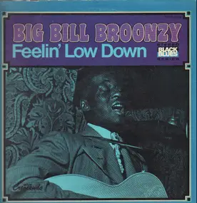 Big Bill Broonzy - Feelin' Low Down