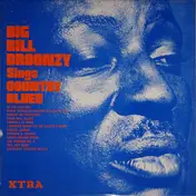 Big Bill Broonzy - Sings Country Blues