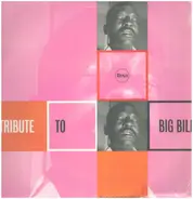 Big Bill Broonzy - Tribute to Big Bill