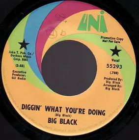 Big Black - Diggin' What You're Doin' / Long Hair