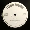 12inch Vinyl Single - Big Davy - Taste In Your Waste