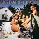 LP - Big Daddy Kane - It's A Big Daddy Thing