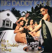LP - Big Daddy Kane - It's A Big Daddy Thing