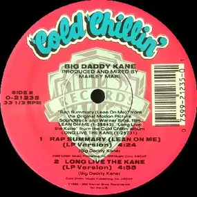 Big Daddy Kane - Rap Summary (Lean On Me)
