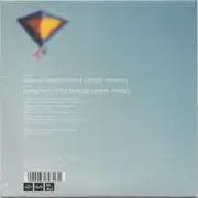 7inch Vinyl Single - Big Deal - Distant Neighborhood