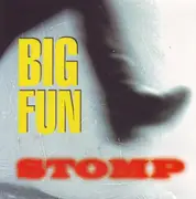 CD Single - Big Fun II - Stomp