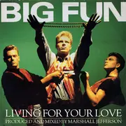 12'' - Big Fun - Living For Your Love