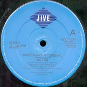 12inch Vinyl Single - Big Fun - Can't Shake The Feeling (Remix)
