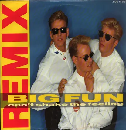 Big Fun - Can't Shake The Feeling (Remix)