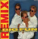 12inch Vinyl Single - Big Fun - Can't Shake The Feeling (Remix)