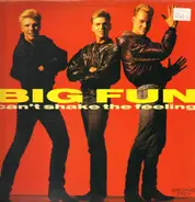 Big Fun - Can't Shake The Feeling