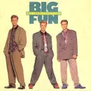 7inch Vinyl Single - Big Fun - Hey There Lonely Girl