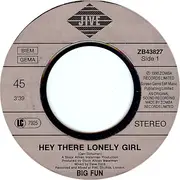 7inch Vinyl Single - Big Fun - Hey There Lonely Girl